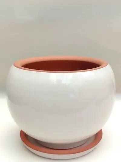 Beyaz Sırlı No 1 Model 2  Ø14cm -  Saksilar - Lalezar Botanik